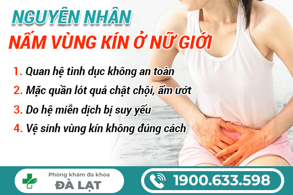 Hình ảnh minh họa